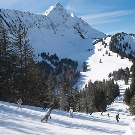 Apartment L'enchalpe: Ski-in With Pool And Mountain Views *